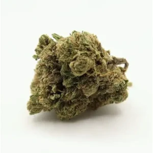 Blueberry Pie CBD Flower Tea premium Flower & Bud | CaliBuds