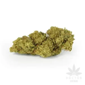 Lemon Haze CBD Flower Tea premium Flower & Bud | CaliBuds