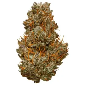 Peach Cobbler CBD Flower Tea premium Flower & Bud | CaliBuds