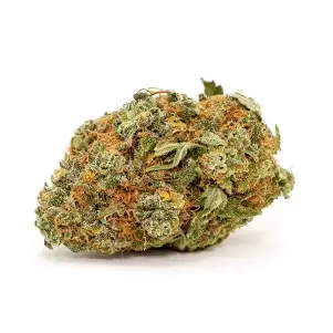 Tequila Sunrise CBD Flower Tea premium Flower & Bud | CaliBuds